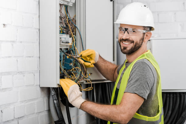 Best Electric Panel Repair  in Excelsior Springs, MO